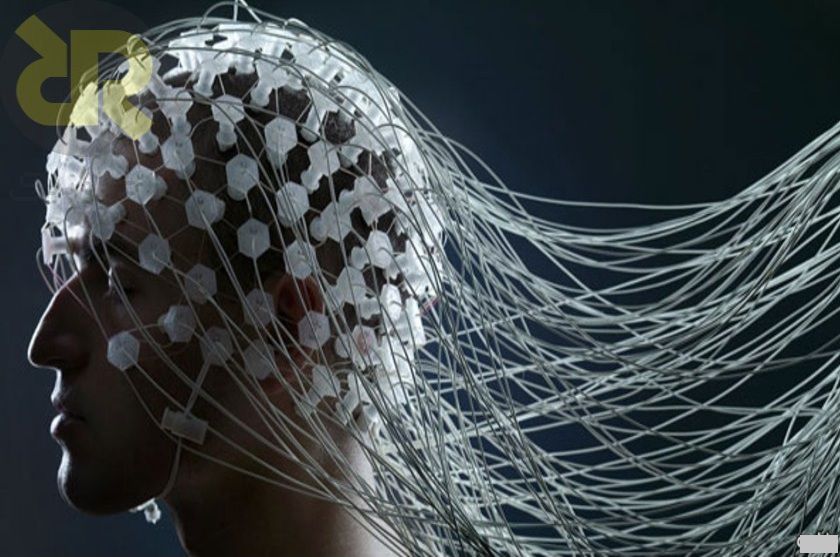 آناتومی کلاه EEG